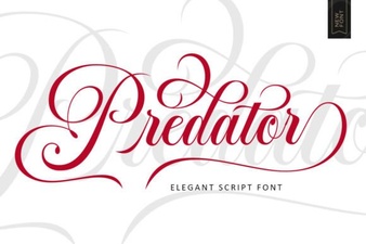Predator Font Design: Bold Typography for Creative Projects